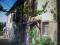 #32 Avellino Farmhouse in Campania